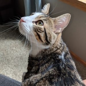 Meet your Posher, Ava